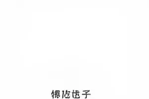 《代言调整七十二小时》封面，商场里空置的广告灯箱